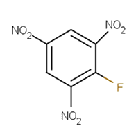 2,4,6-Trinitrofluorobenzene