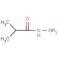 2-methylpropanehydrazide
